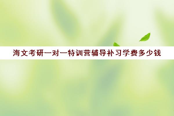 海文考研一对一特训营辅导补习学费多少钱