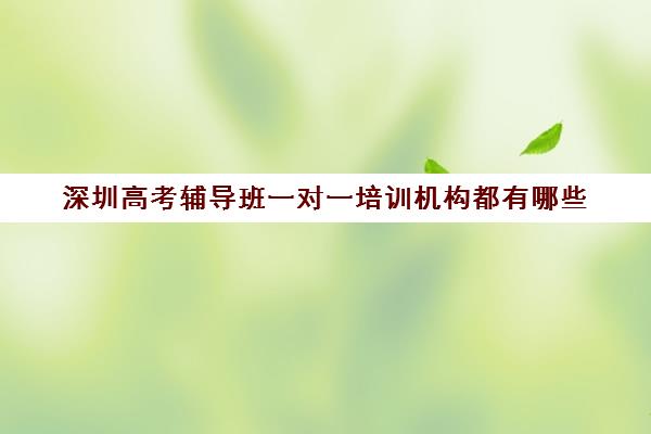 深圳高考辅导班一对一培训机构都有哪些(深圳高考冲刺班封闭式全日制)