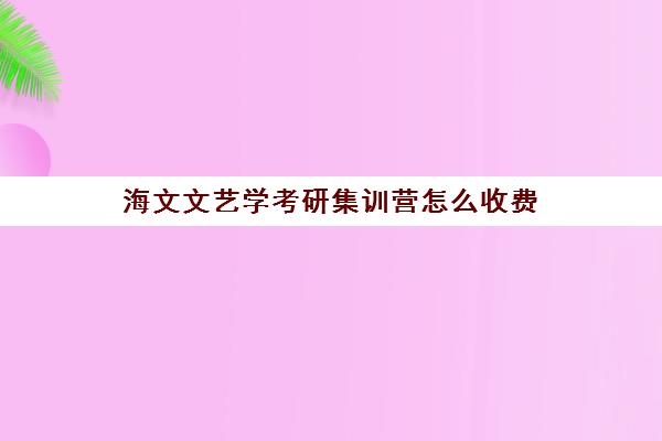 海文文艺学考研集训营怎么收费（海文考研复试保过班）