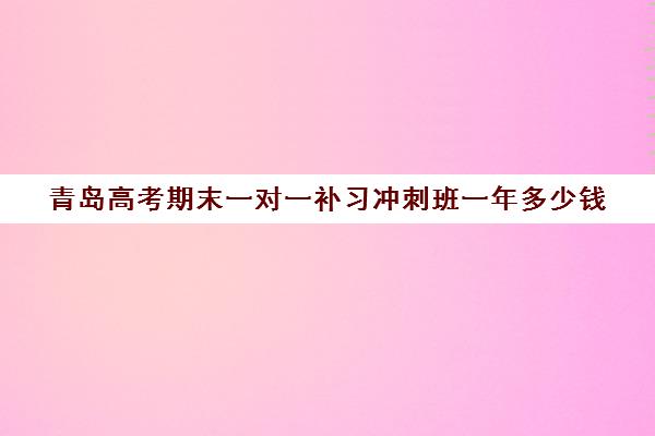 青岛高考期末一对一补习冲刺班一年多少钱