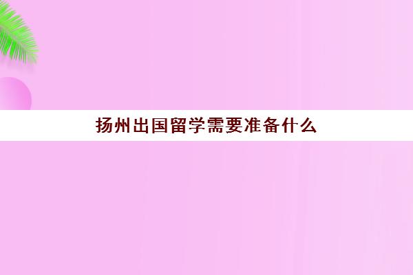 扬州出国留学需要准备什么(扬州大学出国留学项目)