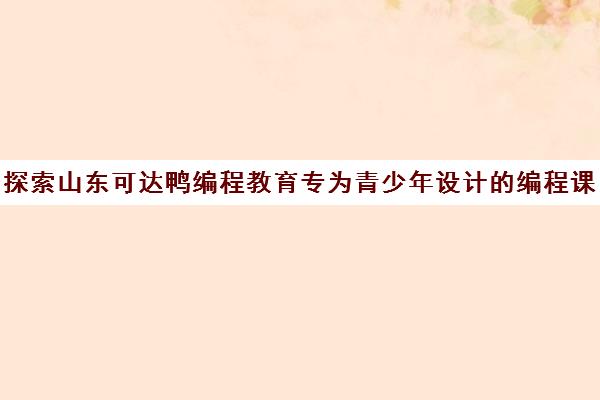 探索山东可达鸭编程教育专为青少年设计编程课程