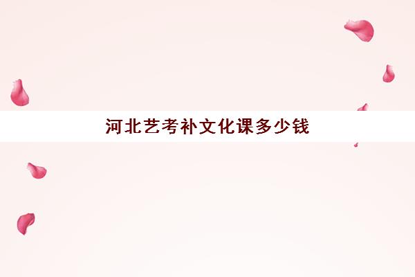 河北艺考补文化课多少钱(艺考文化课辅导价格)