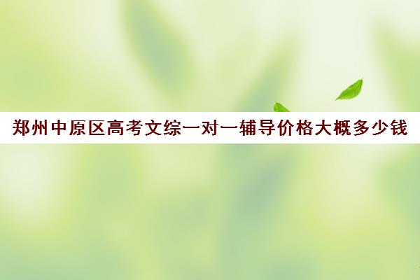 郑州中原区高考文综一对一辅导价格大概多少钱(郑州高考辅导机构哪个好)