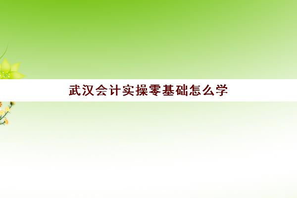 武汉会计实操零基础怎么学(会计自学入门教程)