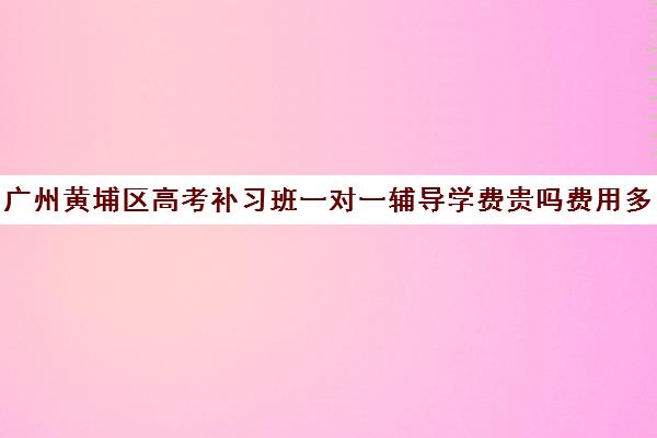 广州黄埔区高考补习班一对一辅导学费贵吗费用多少钱