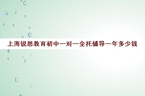 上海锐思教育初中一对一全托辅导一年多少钱（小学一对一辅导收费）