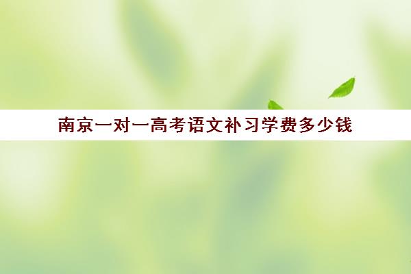 南京一对一高考语文补习学费多少钱