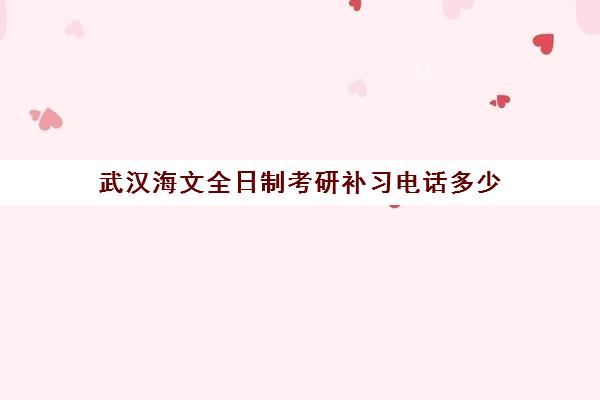 武汉海文全日制考研补习电话多少