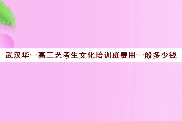 武汉华一高三艺考生文化培训班费用一般多少钱(武汉最好的艺考培训)