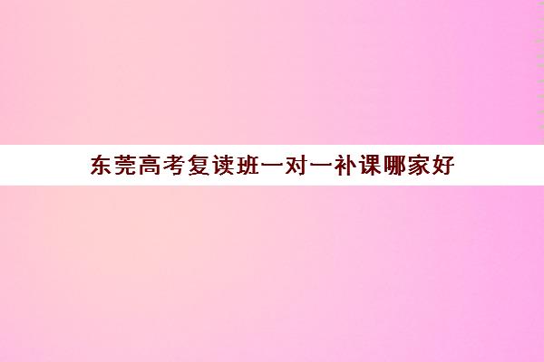 东莞高考复读班一对一补课哪家好(一对一补课价格)