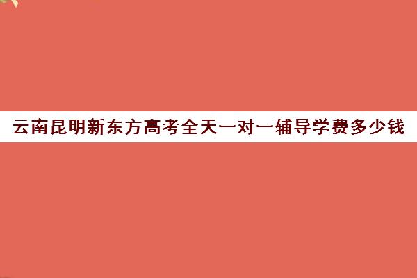 云南昆明新东方高考全天一对一辅导学费多少钱（昆明全日制高考冲刺班）