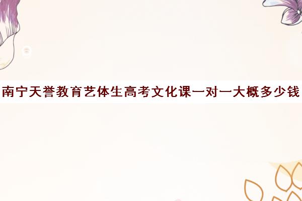 南宁天誉教育艺体生高考文化课一对一大概多少钱(南宁艺考培训机构排名榜)