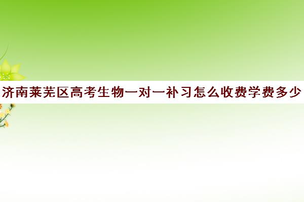 济南莱芜区高考生物一对一补习怎么收费学费多少钱