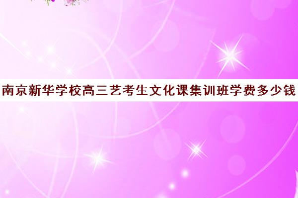 南京新华学校高三艺考生文化课集训班学费多少钱(新东方艺考文化课全日制辅导)