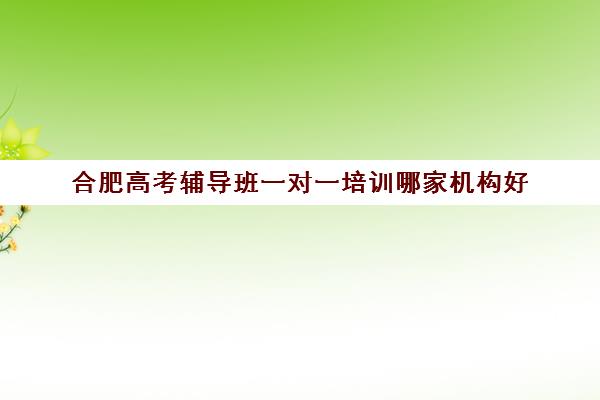 合肥高考辅导班一对一培训哪家机构好(合肥一对一辅导价格表)