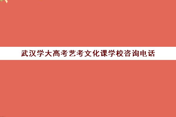 武汉学大高考艺考文化课学校咨询电话(武汉最好艺考生文化培训)