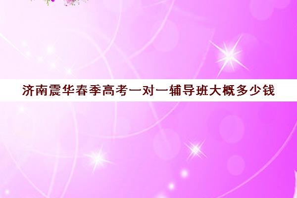 济南震华春季高考一对一辅导班大概多少钱（济南高三辅导机构哪家好）