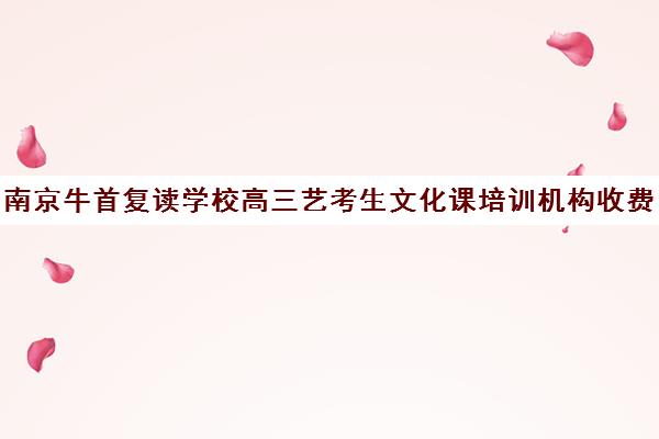 南京牛首复读学校高三艺考生文化课培训机构收费标准一览表(南京高考复读学校有哪些)