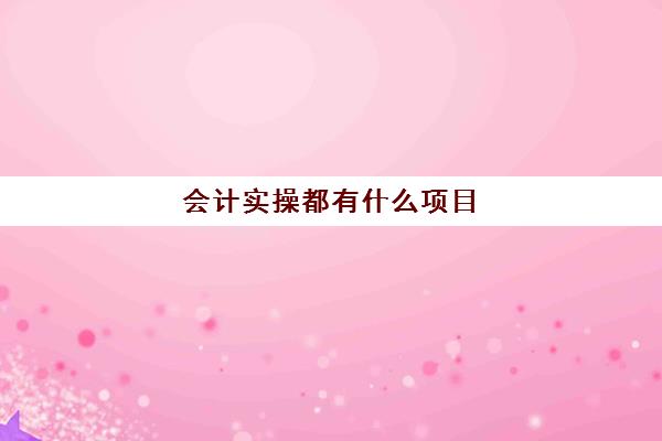 会计实操都有什么项目(会计实训项目有哪些)