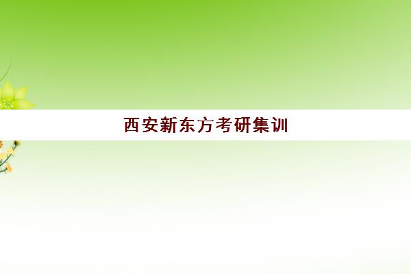 西安新东方考研集训(新东方考研培训机构介绍)