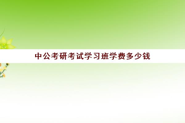 中公考研考试学习班学费多少钱