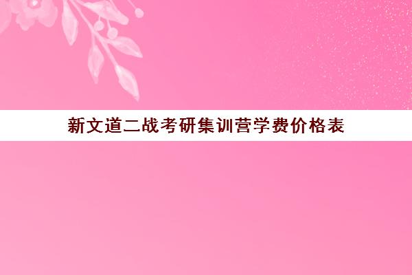 新文道二战考研集训营学费价格表（武汉新文道考研集训营）