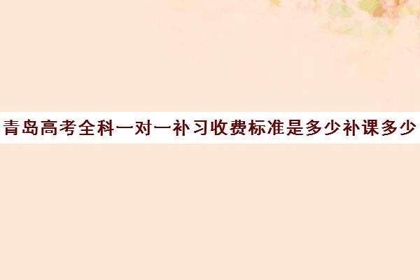 青岛高考全科一对一补习收费标准是多少补课多少钱一小时