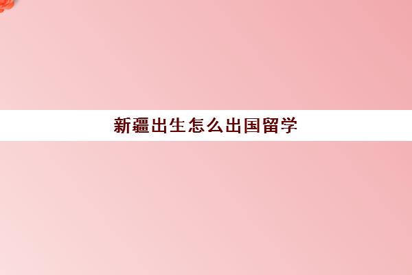 新疆出生怎么出国留学(乌兹别克斯坦留学条件)