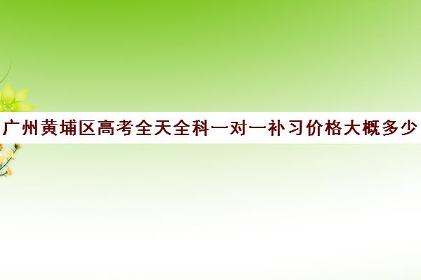 广州黄埔区高考全天全科一对一补习价格大概多少钱