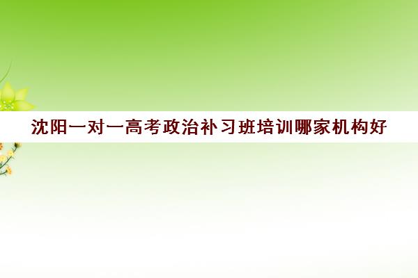 沈阳一对一高考政治补习班培训哪家机构好