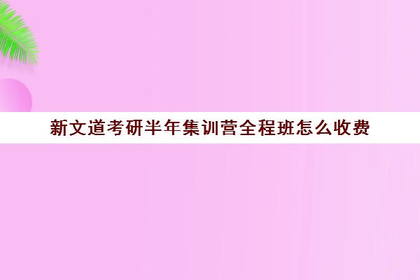 新文道考研半年集训营全程班怎么收费（考研报班好还是自学好）