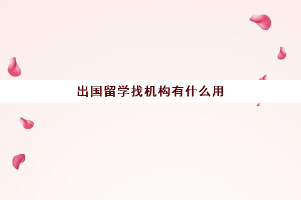 出国留学找机构有什么用(找中介出国留学要多少钱)