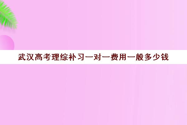 武汉高考理综补习一对一费用一般多少钱