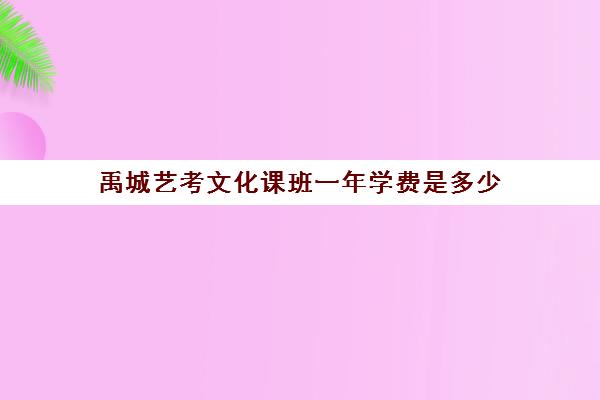 禹城艺考文化课班一年学费是多少(禹城比较好的辅导班)