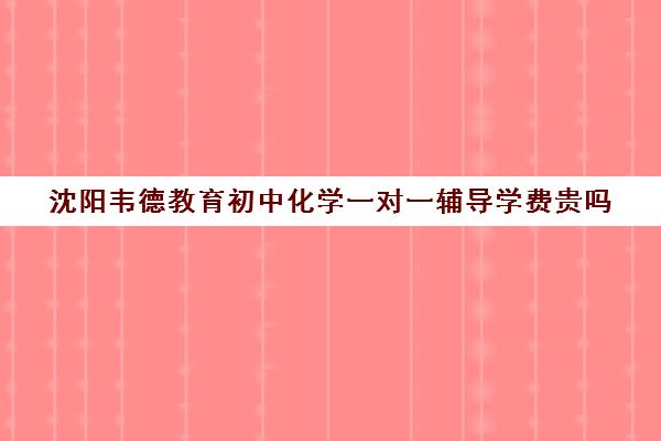 沈阳韦德教育初中化学一对一辅导学费贵吗(补英语哪个教育机构好)