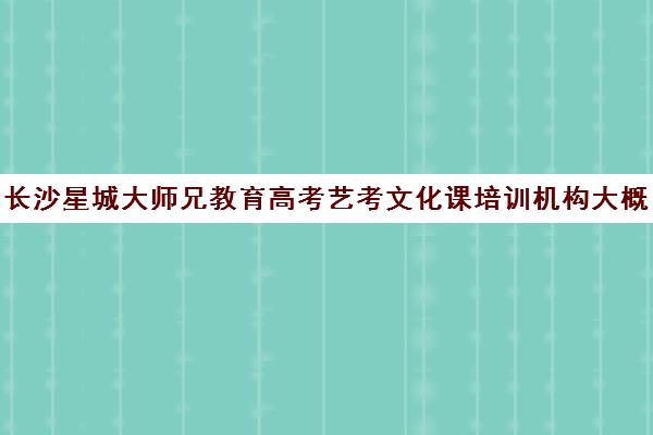 长沙星城大师兄教育高考艺考文化课培训机构大概多少钱(艺考多少分能上一本)