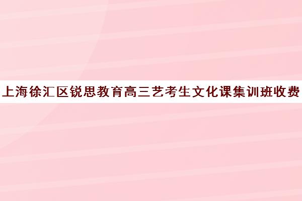 上海徐汇区锐思教育高三艺考生文化课集训班收费标准一览表(上海艺考机构哪个最好)