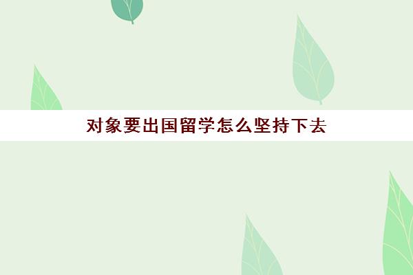 对象要出国留学怎么坚持下去(没有学历可以出国留学吗)