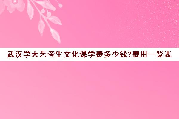 武汉学大艺考生文化课学费多少钱?费用一览表(武汉大学表演专业文化分数线)