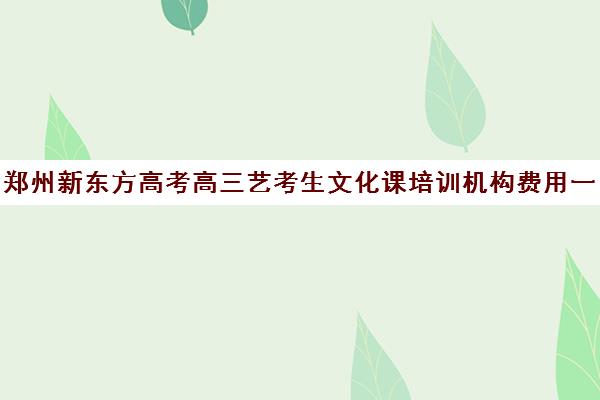 郑州新东方高考高三艺考生文化课培训机构费用一般多少钱(新东方高考培训怎么样)