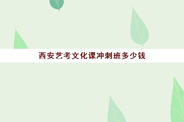 西安艺考文化课冲刺班多少钱(西安艺考培训学校有哪些)