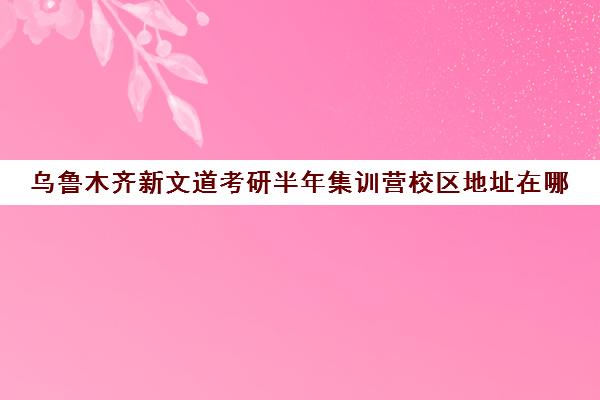 乌鲁木齐新文道考研半年集训营校区地址在哪（新文道考研和文都考研的关系）