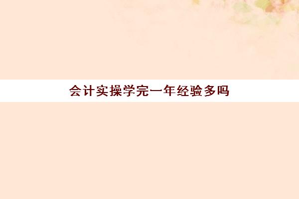 会计实操学完一年经验多吗(会计3个月能学会吗)