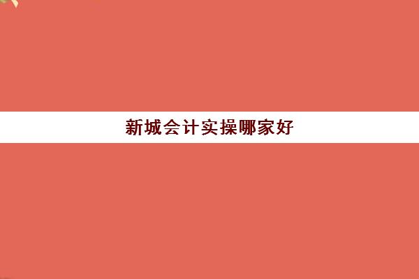 新城会计实操哪家好(新科教育会计培训怎么样)