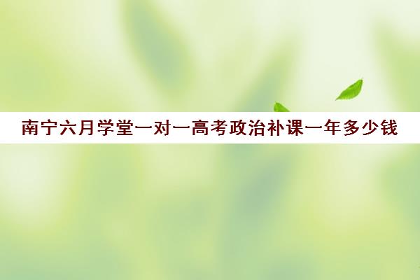 南宁六月学堂一对一高考政治补课一年多少钱(高一补课哪个培训机构好)