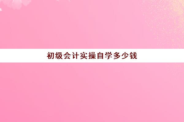 初级会计实操自学多少钱(会计没人带能自学吗)