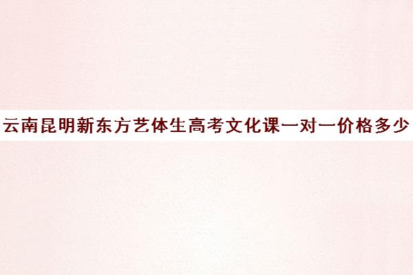 云南昆明新东方艺体生高考文化课一对一价格多少(昆明一对一补课哪家好)