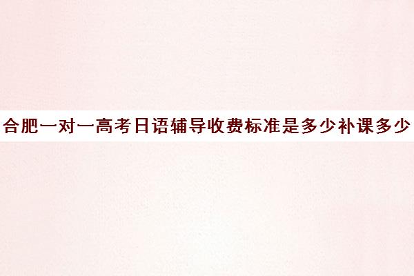 合肥一对一高考日语辅导收费标准是多少补课多少钱一小时(合肥一对一补课价格)