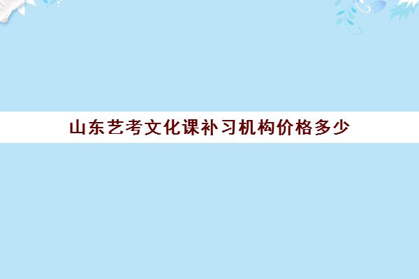 山东艺考文化课补习机构价格多少